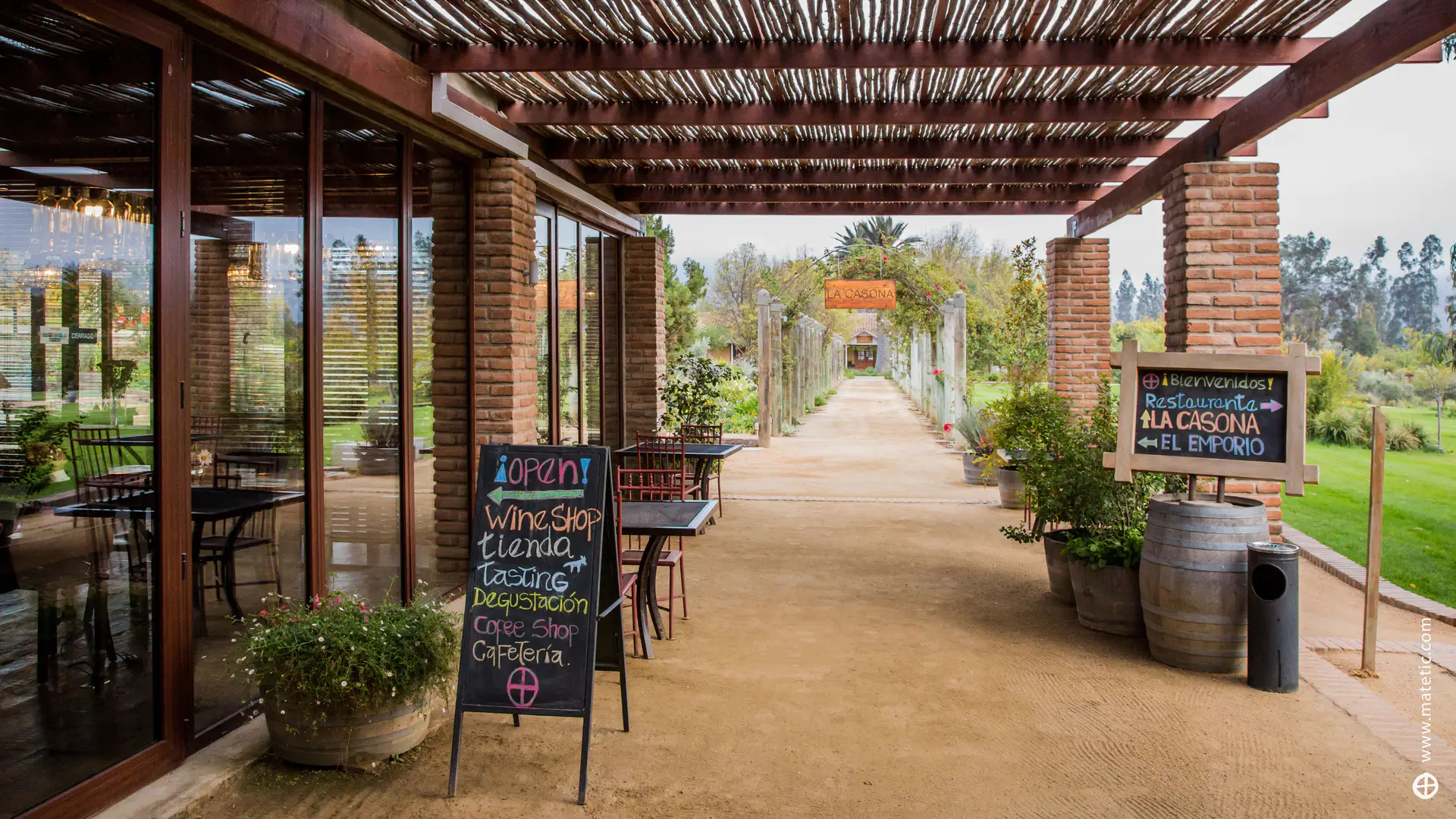 Matetic Emporio 103.webp